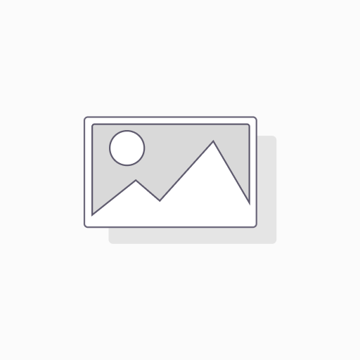 BEACHFLAG 70/300cm